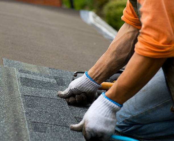 Best Roof Gutter Cleaning  in Menomonee Falls, WI